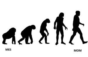 MES/MOM evolution