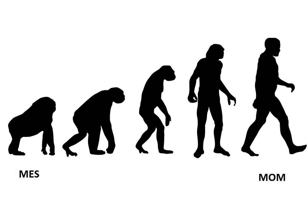 MES/MOM evolution